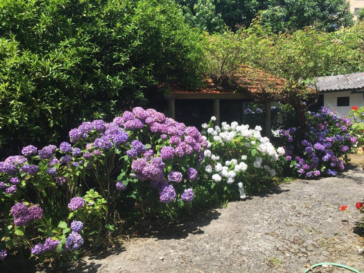 The Oaks House Foz Hotel Porto Exterior foto